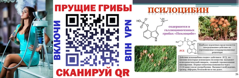 kraken сайт  дарнет шоп  Никольское  Галлюциногенные грибы мухоморы 